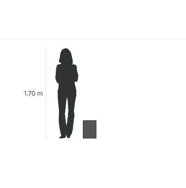 Elżbieta Goszczycka - Księżycowa noc