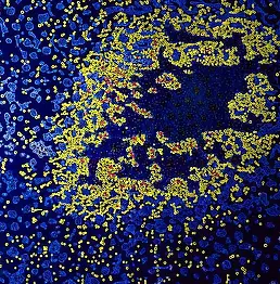 Łukasz Hołuj - The shape of the process 01 of the UV light