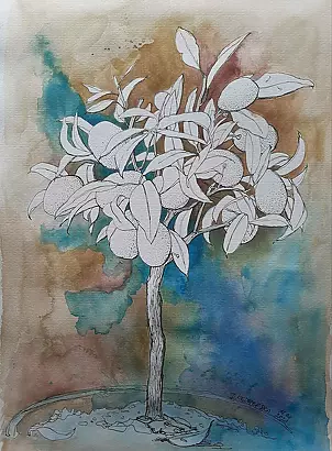 Dorota Kędzierska - Kumquat