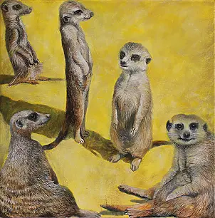 Iza Jaśniewska - Spa guests