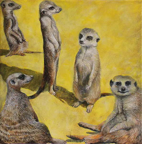 Iza Jaśniewska - Kuracjusze