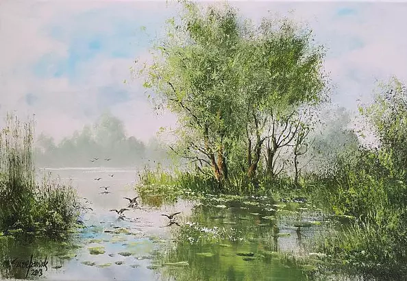 Marek Szczepaniak - moorhens