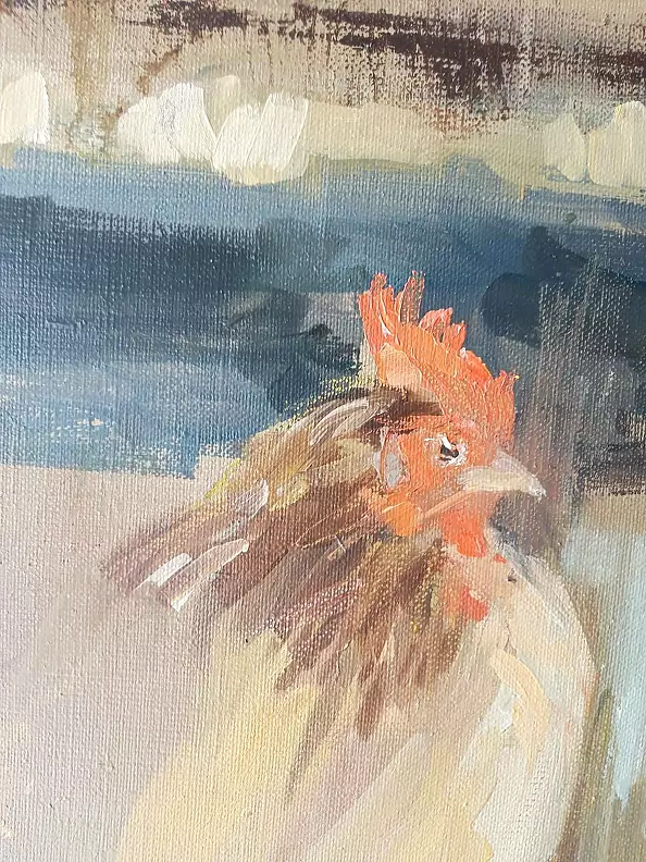 Doma Suszczyńska - chicken coop