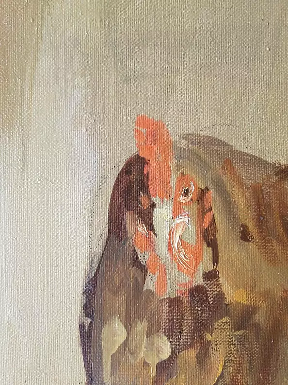 Doma Suszczyńska - chicken coop