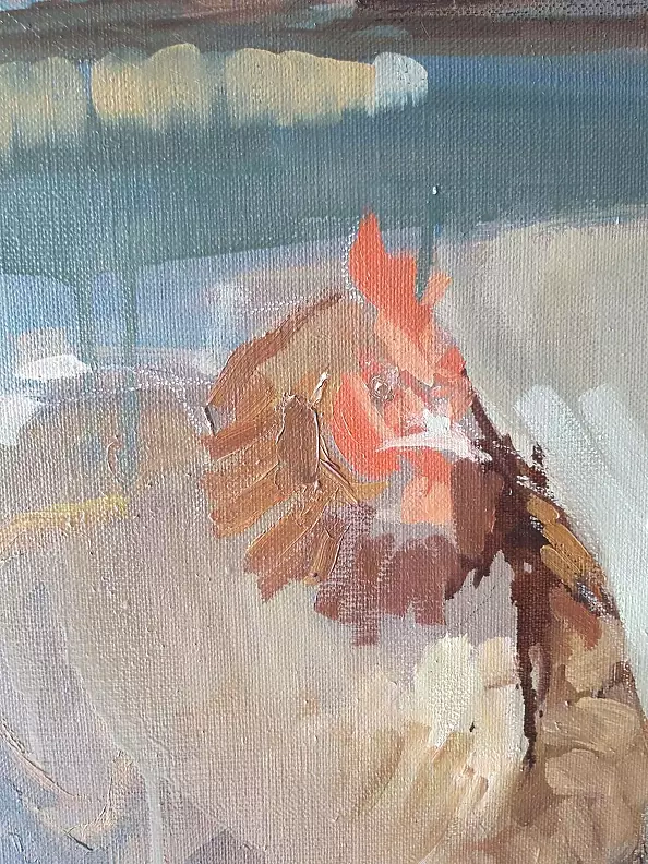 Doma Suszczyńska - chicken coop