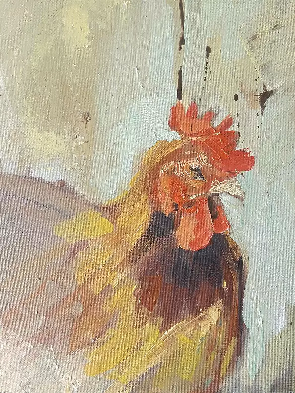 Doma Suszczyńska - chicken coop