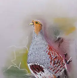 Zdzisław Rutkowski - Kuropatwa - pastel