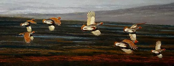 Michał Nowakowski - Kuropatwy