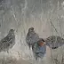 Tadeusz Sobkowiak - partridges