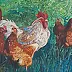 Agnieszka Michalczyk - Chickens with a rooster