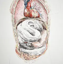 Wiesław Teofilak, Kuszenie węża - METABODY ART, Inne, Ołówek, Techniki mieszane - papier, 21 x 30
