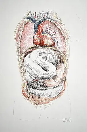 Wiesław Teofilak, The Temptation of the Serpent, Other, Pencil, Mixed media - paper, 21 x 30