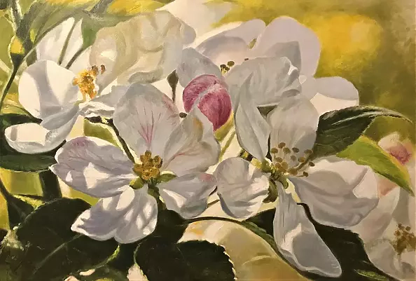 Mariusz Majewski - Kwiaty jabłoni