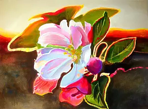 Marlena Majchrzak - apple blossom