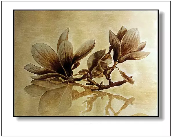 Jolanta Dusza - magnolia flower