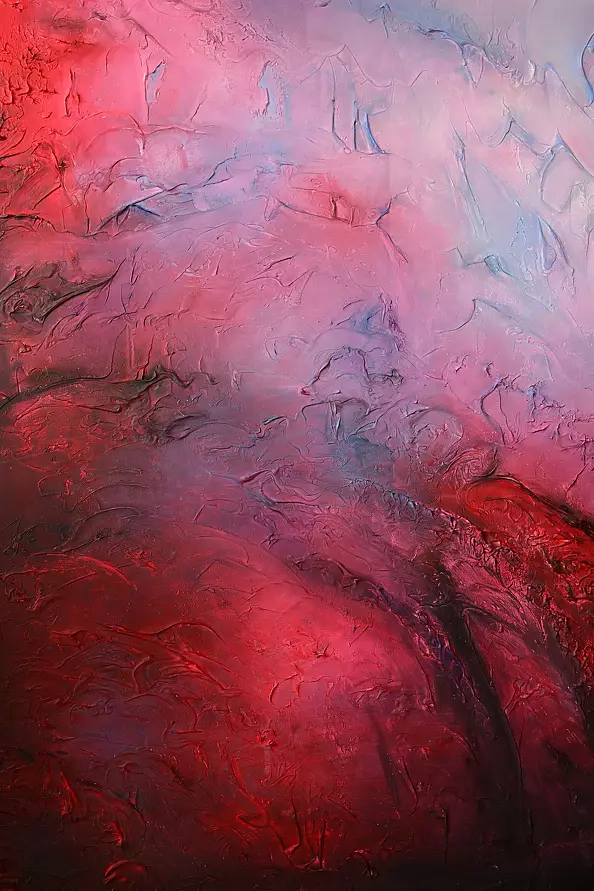 Agata Buczek - Orchid flower