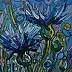 Magda Florczyk - flower cornflower