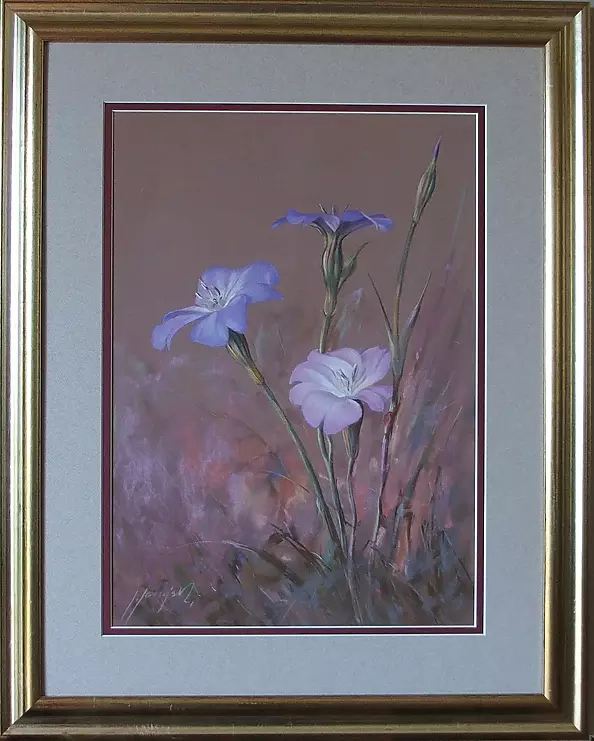 Jarosław Jędrzejski - Flowers. Cockle.