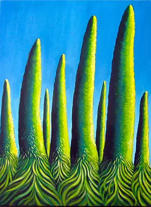 Isabella Degen - flowers Tenerife