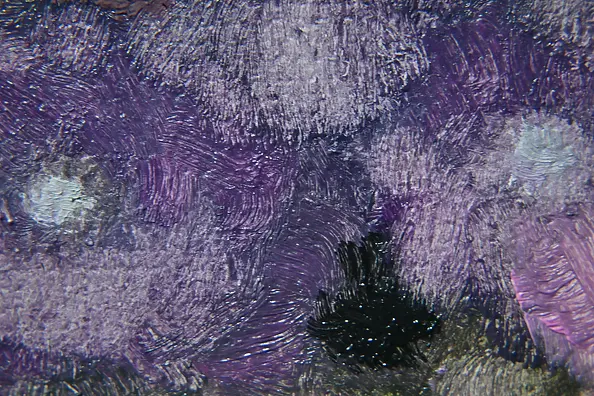 Agnieszka Długołęcka - Flowers (C1)