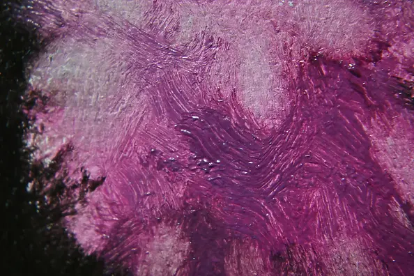 Agnieszka Długołęcka - Flowers (C1)