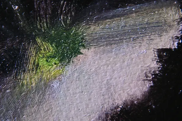 Agnieszka Długołęcka - Flowers (C1)