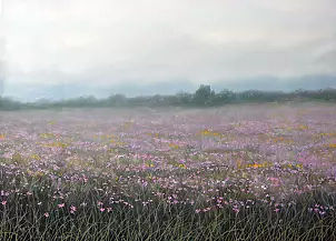   - Flowers in the meadow.