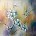 Lidia Olbrycht - Kwiaty wiśni - natura,