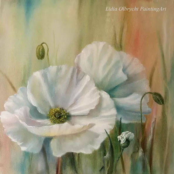 Lidia Olbrycht - Kwiaty-maki polne, kwiaty w naturze