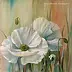 Lidia Olbrycht - Flowers-poppies wild flowers in nature