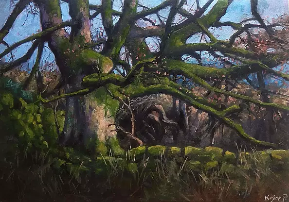 Paweł Kosior - April in Kilpatrick Hills