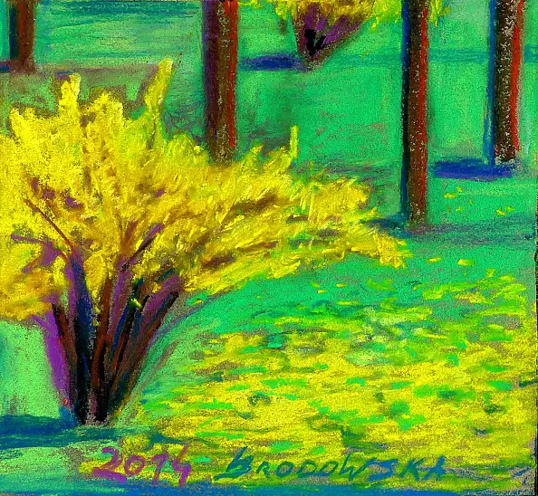 Katarzyna Brodowska - Kwitnąca forsycja i ziarnopłon.