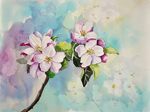 Magdalena Bronakowska - floraison pommier