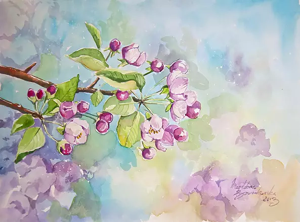 Magdalena Bronakowska - floraison pommier