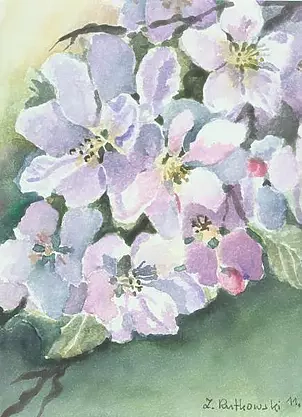 Zdzisław Rutkowski - Kwitnąca jabłoń