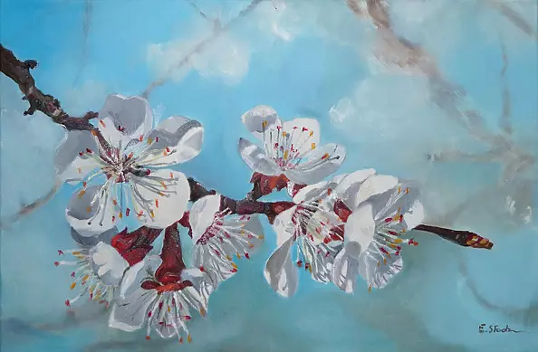 Ewa Słodzińska - Kwitnąca morela