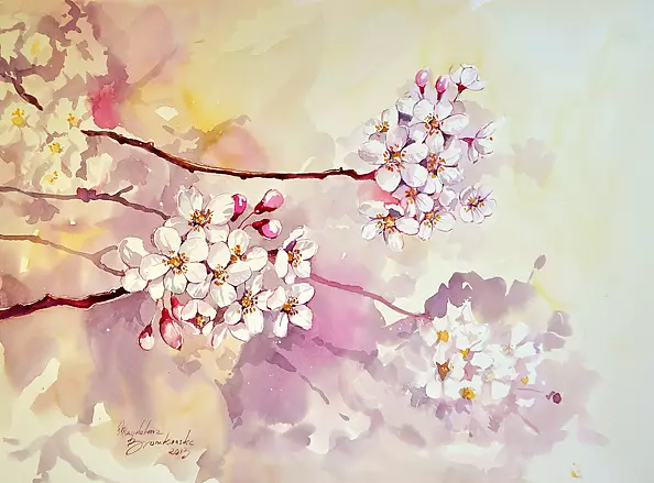 Magdalena Bronakowska - Cherry blossoms