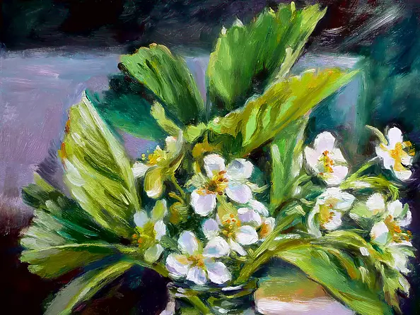 Barbara Gulbinowicz - Blooming wild strawberries