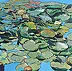 Grzegorz Mioduszewski - Blooming water lily