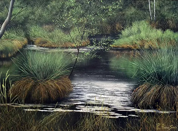 Pier Luigi Parnisari - LA Palud