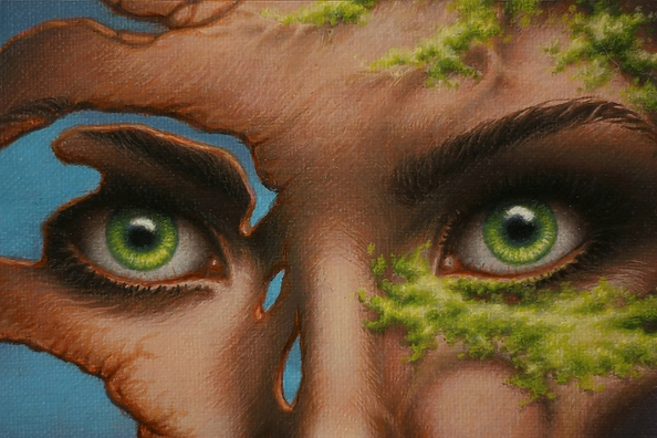 Paweł Sadowski - LEM-niskata