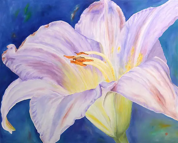 Alina Danielewicz - LILIA