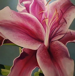 Małgorzata Jaroma - LILY