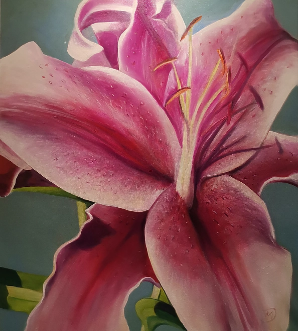 Małgorzata Jaroma - LILY