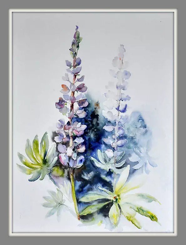 Beata Van Wijngaarden - LUPINES II