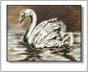 Jolanta Dusza - Swan