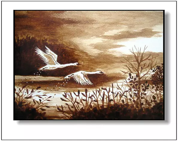 Jolanta Dusza - Swans