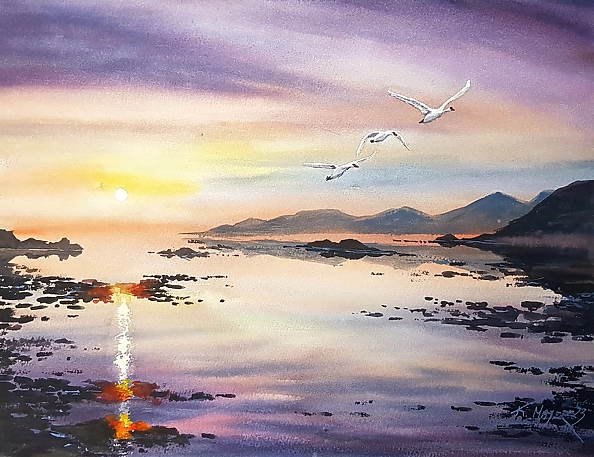 Karolina Majer - Łabędzie