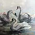 Michalina Derlicka - Swans