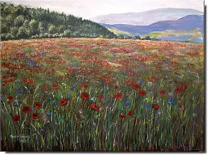 Beata Jańdzio - Meadow